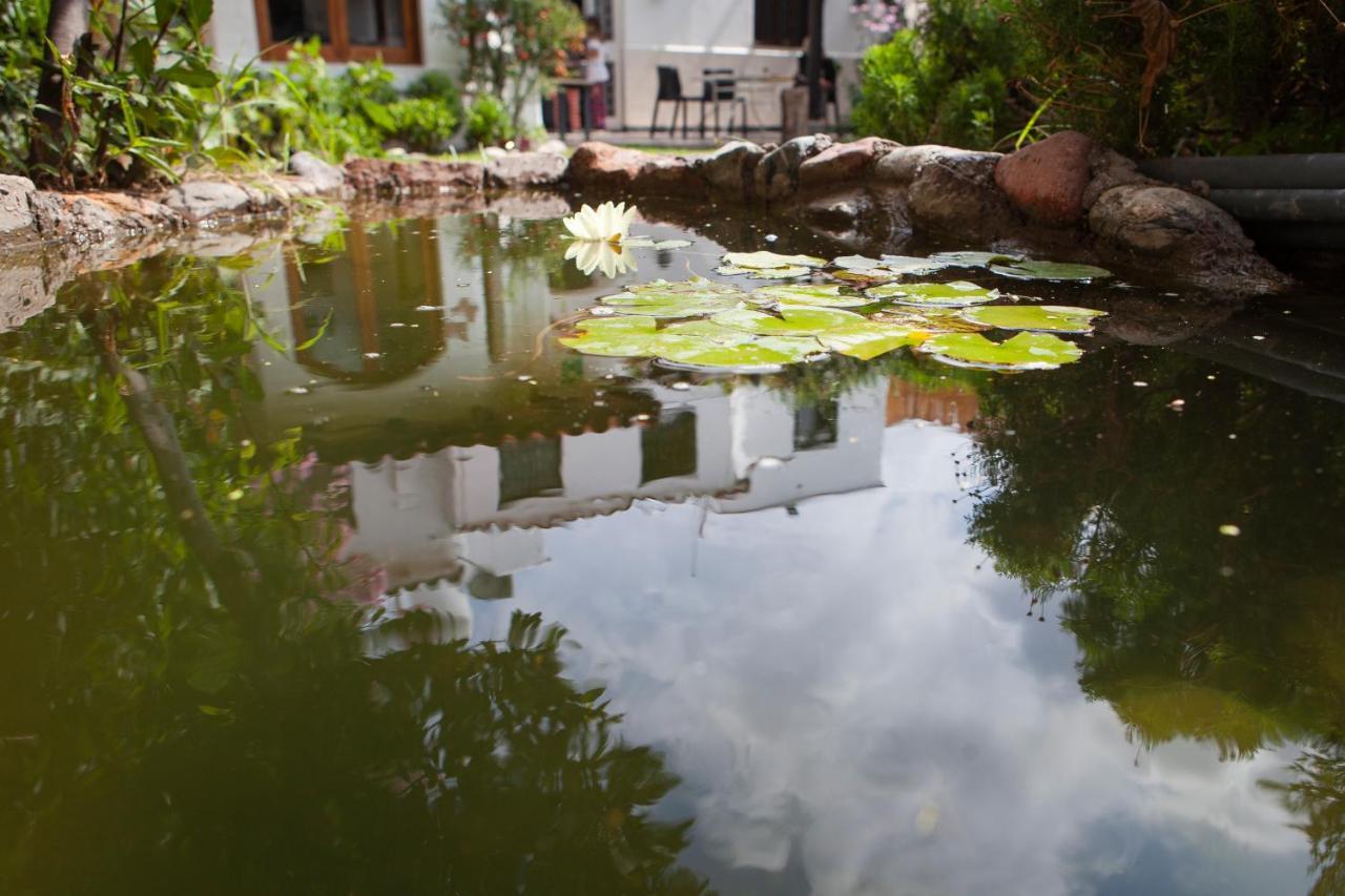 Posada De Rosas Hotel Mendoza Buitenkant foto